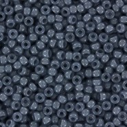 Miyuki seed beads 11/0 - Ceylon translucent slate 11-2378